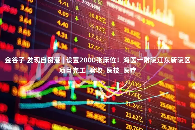 金谷子 发现自贸港 | 设置2000张床位！海医一附院江东新院区项目完工_验收_医技_医疗